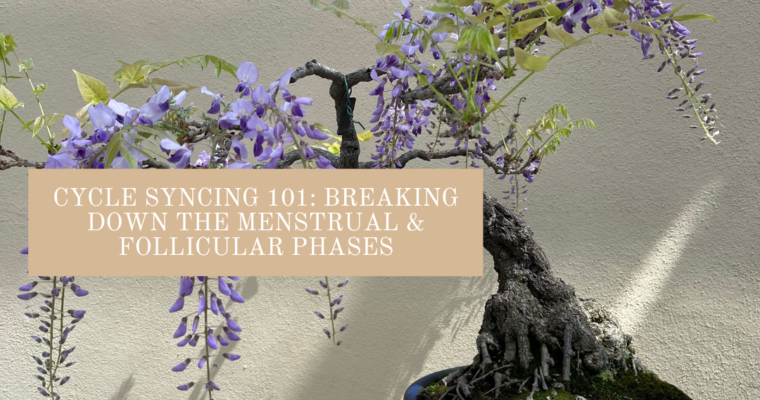 Cycle Syncing 101: Breaking Down the Menstrual & Follicular Phases