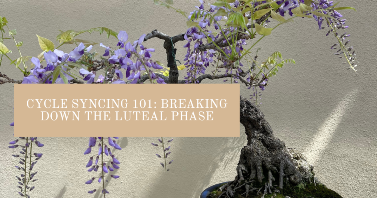 Cycle Syncing 101: Breaking Down the Luteal Phase