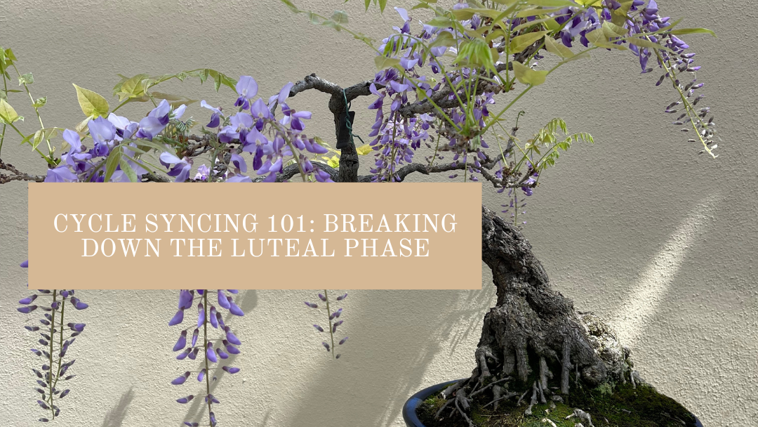 Cycle Syncing 101: Breaking Down the Luteal Phase