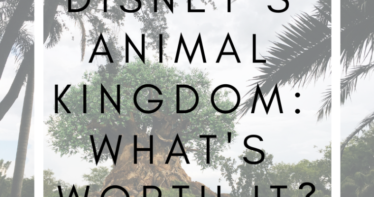 Animal Kingdom: What’s Worth It?