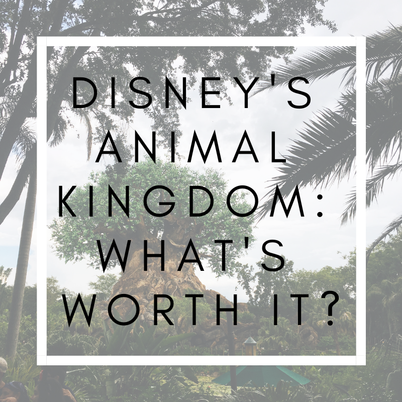 Animal Kingdom: What’s Worth It?