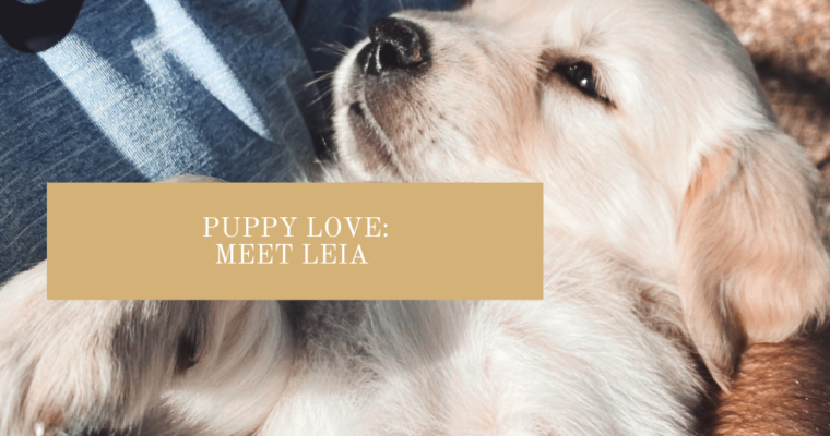 Puppy Love: Meet Leia