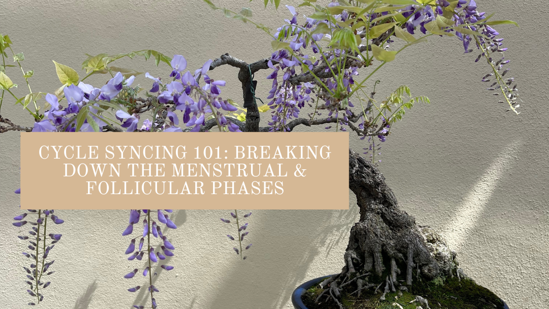 Cycle Syncing 101: Breaking Down the Menstrual & Follicular Phases